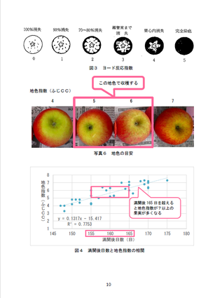 中身