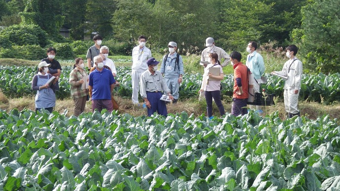 圃場見学会