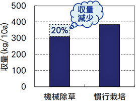 大豆の収量比較のグラフ
