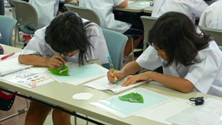 カイコの幼虫をスケッチするこども研究員の写真