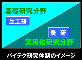 バイテク研究体制のイメージ図