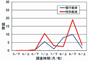 水田内で採集されたクモの頭数の推移グラフ