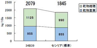 中生品種の収量性比較のグラフ