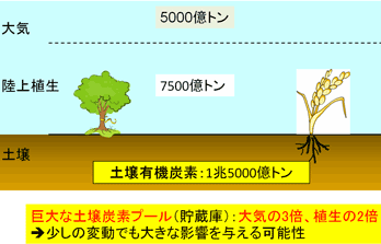 土壌炭素の蓄積イメージ図