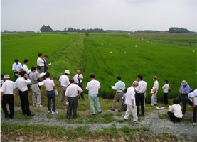ロングマット水稲苗現地圃場を見学中の写真