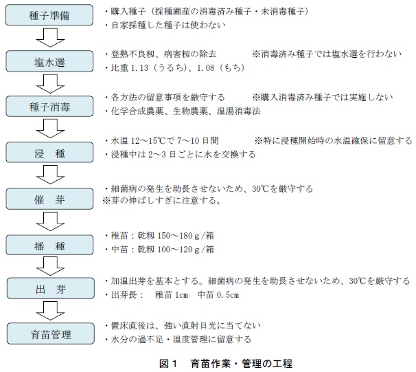 図1