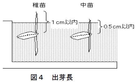 図4