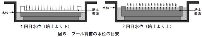 図5