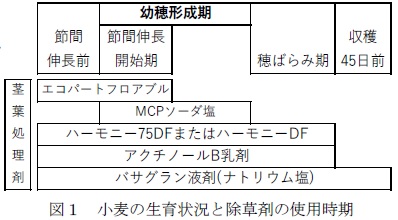 図1