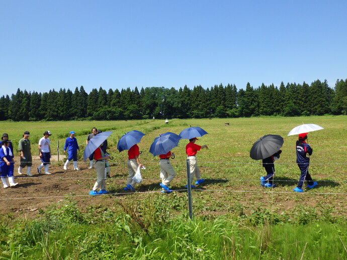 いざ放牧地へ