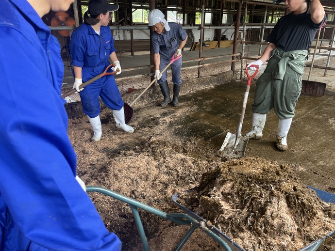 育成舎堆肥出し