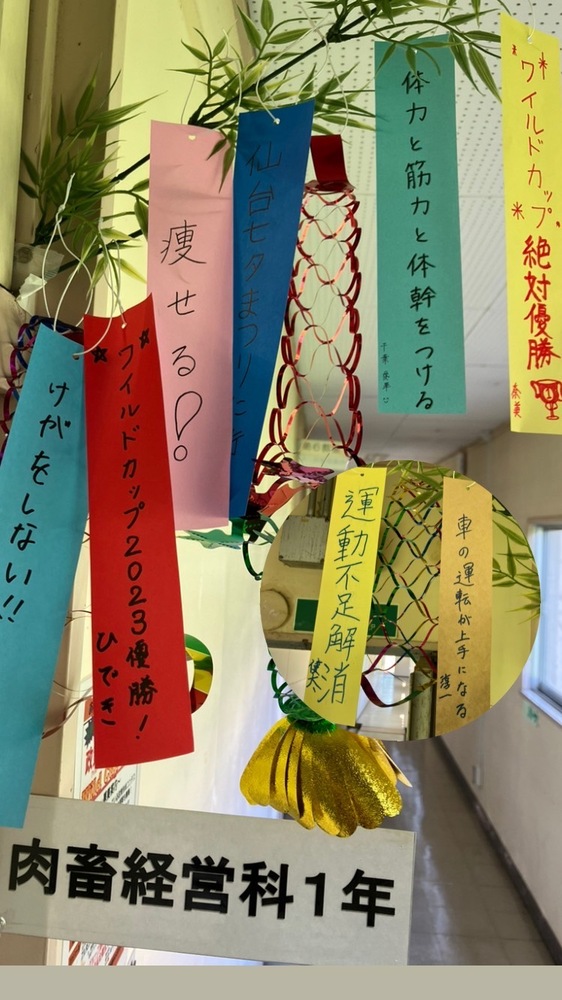 tanabata