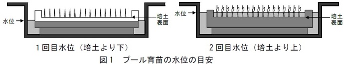 図1