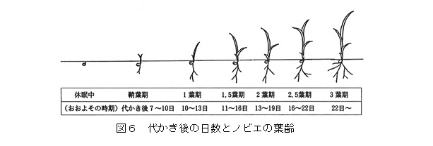 図6