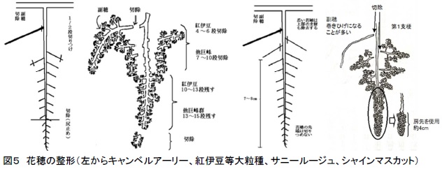 図5