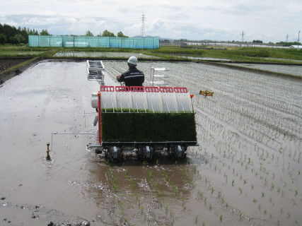 側条二段施肥機付き田植機による田植えの様子の写真