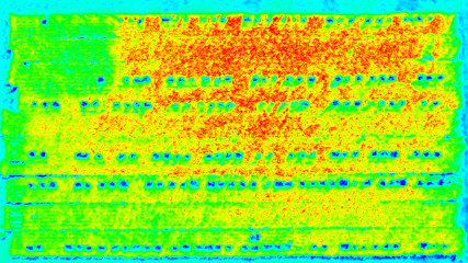 空撮画像から可視大気抵抗植生指数「VARI」によりマッピングした映像