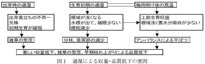 図1