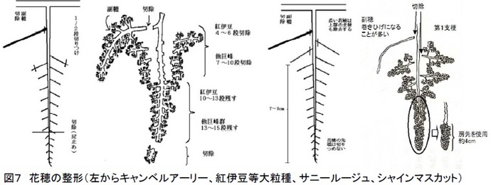 図7