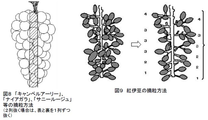 図8