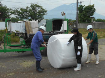 1番草収穫作業中の渡邉技師と岩田技能員の写真