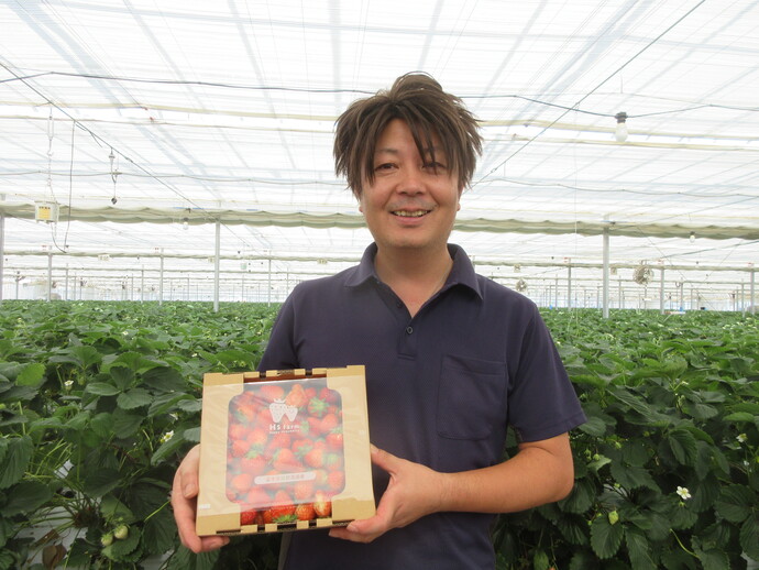 Hs farm代表　千葉勝久さんがいちごを紹介