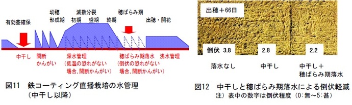 図11,12