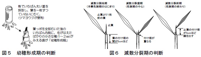 図56