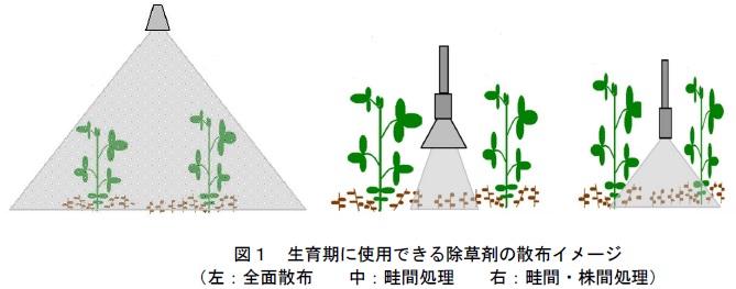 図1