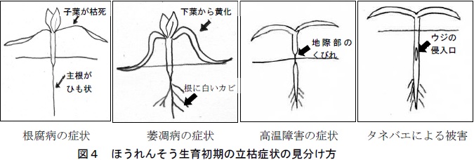 図4