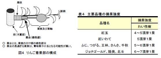 図4、表4