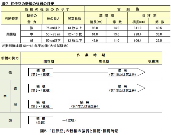 表7　図