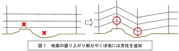 図1