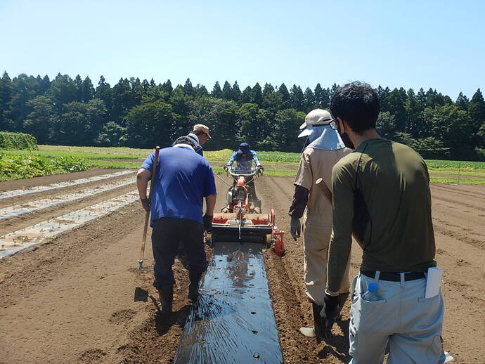 入門7月（4）マルチング