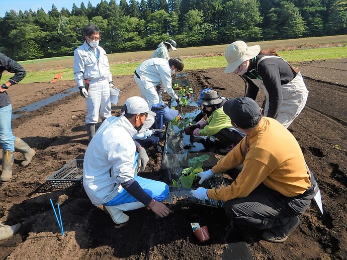 基礎コース野菜5月