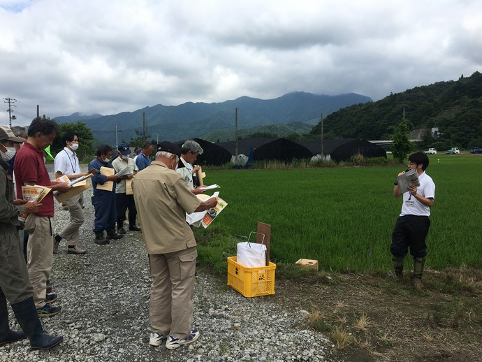 研修会の様子流し込み追肥の紹介