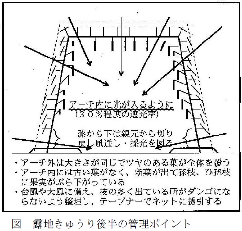 図