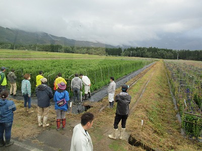 花き若手生産者等技術セミナー写真(2)