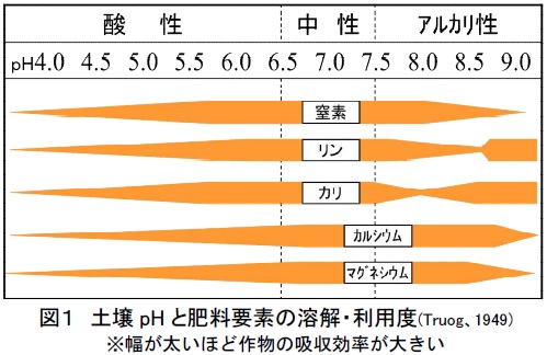 図1