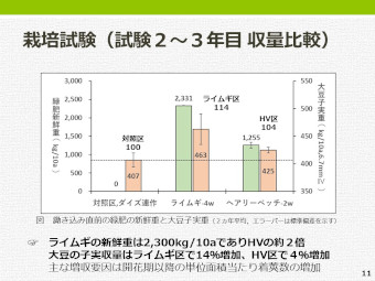 栽培試験2～3年目の結果のグラフ