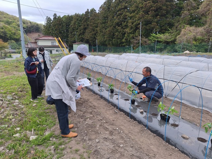 部会長による定植の実演している様子