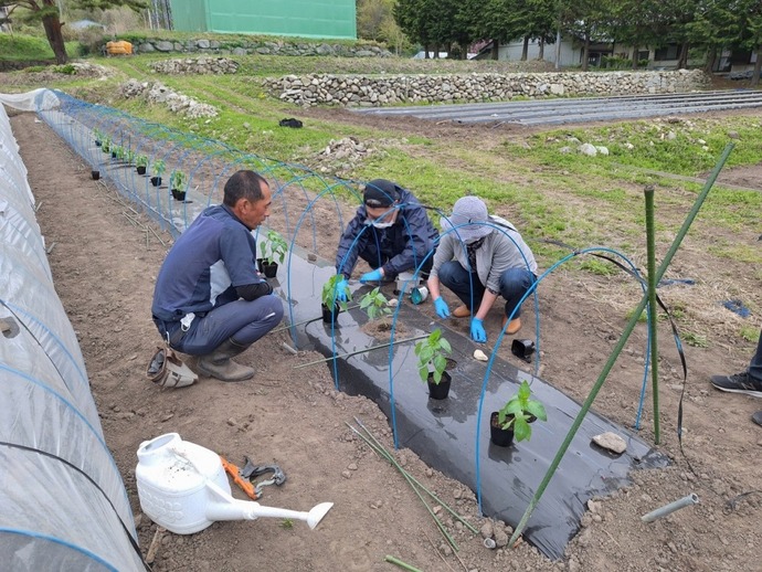 参加者が定植作業を実践している様子