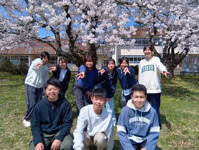 sakura