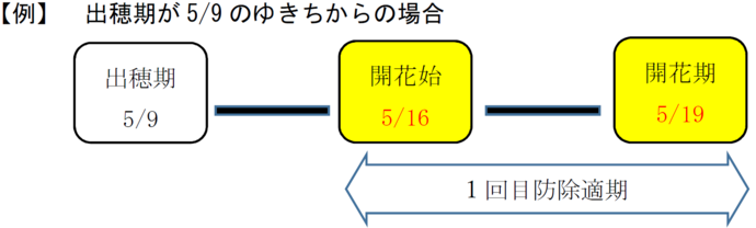 出穂期から開花始及び開花期までの目安