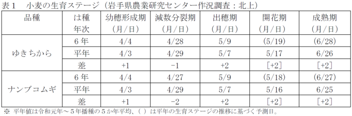 小麦の生育ステージ