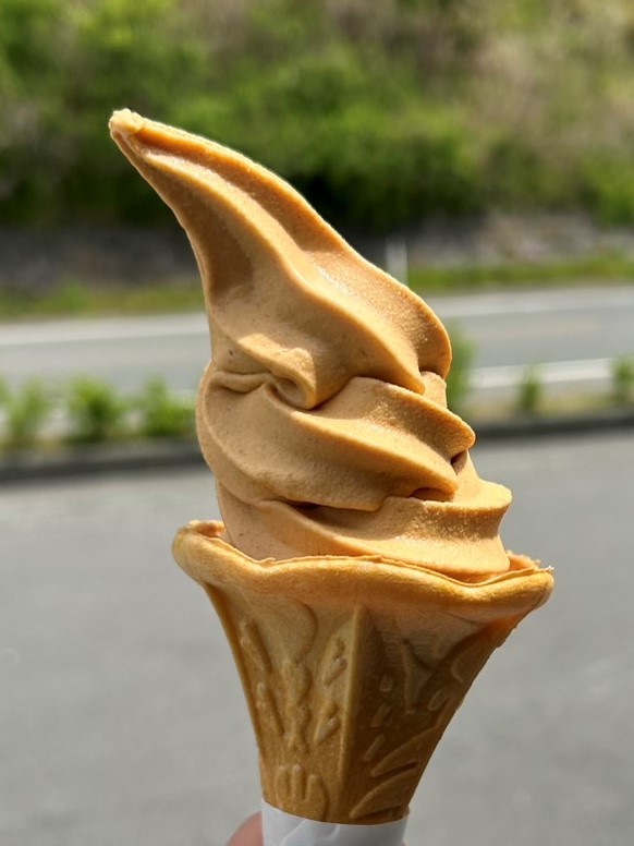漁火の柿ソフトクリーム