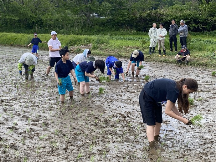 なれない足下の中、上手に田植えする生徒たち