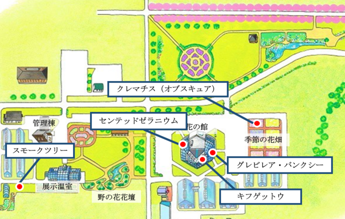 マップ