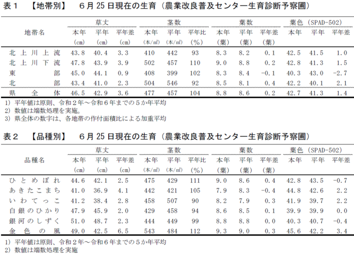 令和7年6月25日現在の水稲の生育
