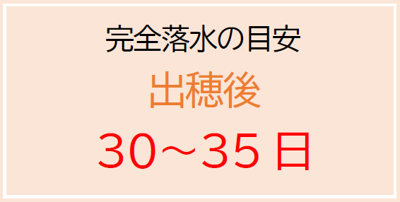 完全落水の目安